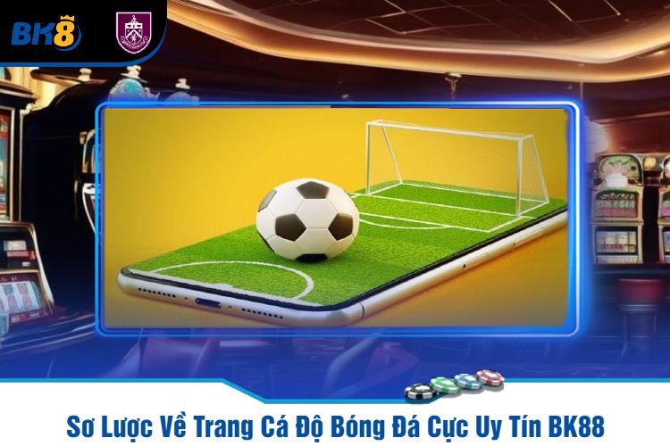 Sơ Lược Về Trang Cá Độ Bóng Đá Cực Uy Tín BK88